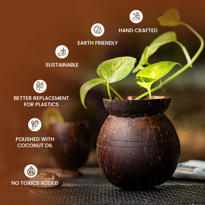 Natchu's Coconut Shell based Indoor Planter Pot Shape (Set of 1)