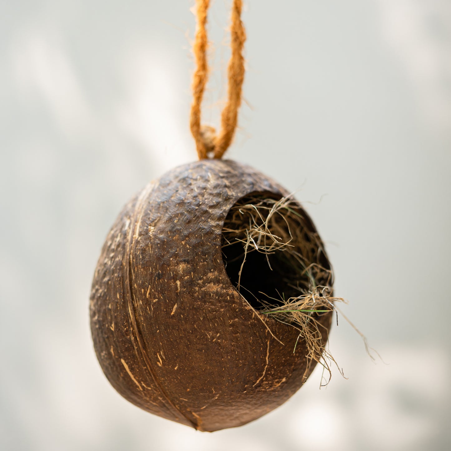 Natchu's Coconut Shell based Bird Feeder & Bird Nest (Set of 1 each)
