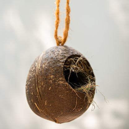 Natchu's Coconut Shell based Bird Feeder & Bird Nest (Set of 1 each)