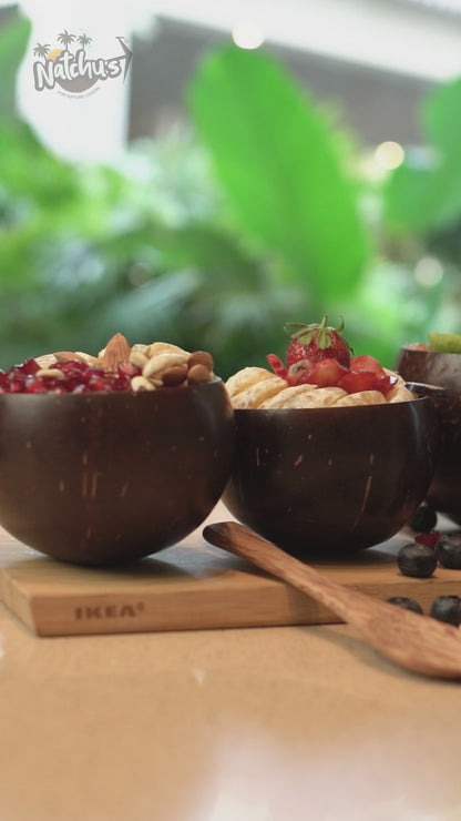 Natchu's Coconut Shell and wood based Glossy Bowl (250ml) , Spoon & fork Combo (set of 2 each)