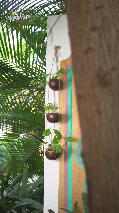 Natchu's Coconut Shell based Outdoor Planter - 3-Tier (Set of 1)
