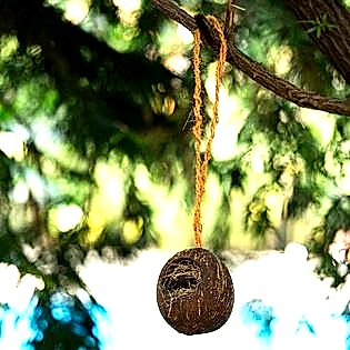 Transform Your Balcony into a Green Oasis with Natchu's Eco-Friendly Garden Products