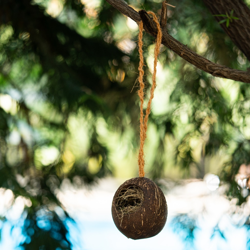 Coconut shell-based bird feeder and bird nest set